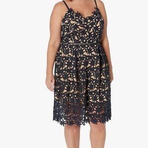 City Chic lace dress navy